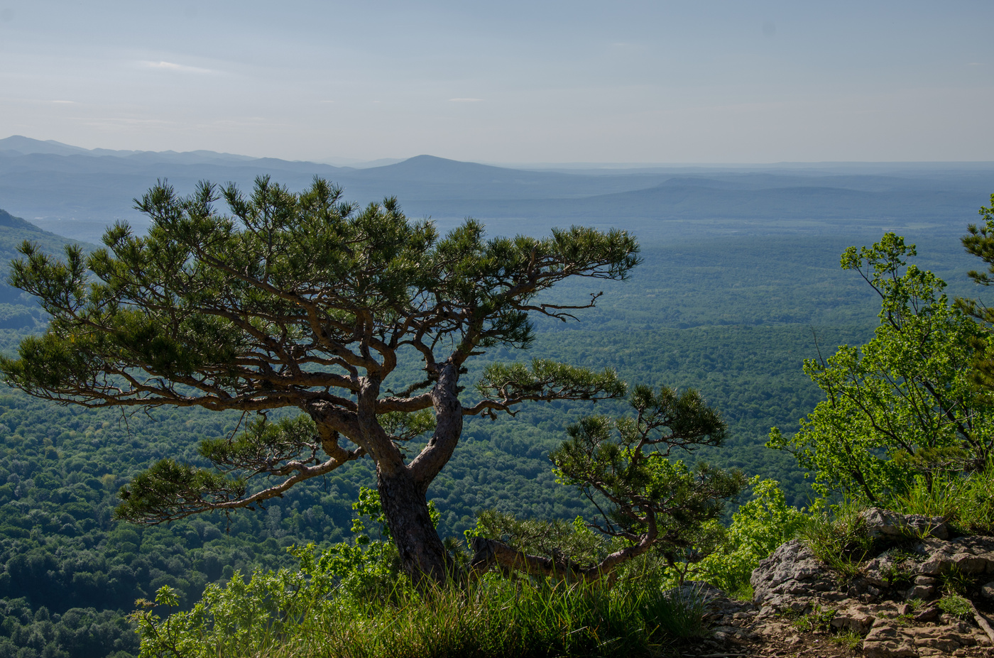 Beugte sich über den Abgrund