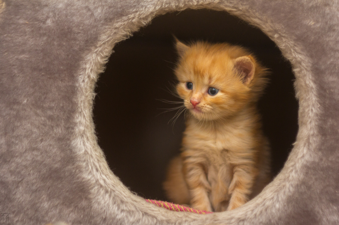 An der Schwelle des Entdeckungs