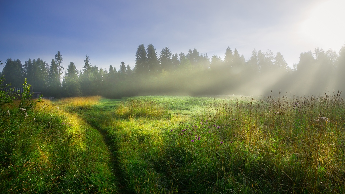 Morgen des 12. August ...