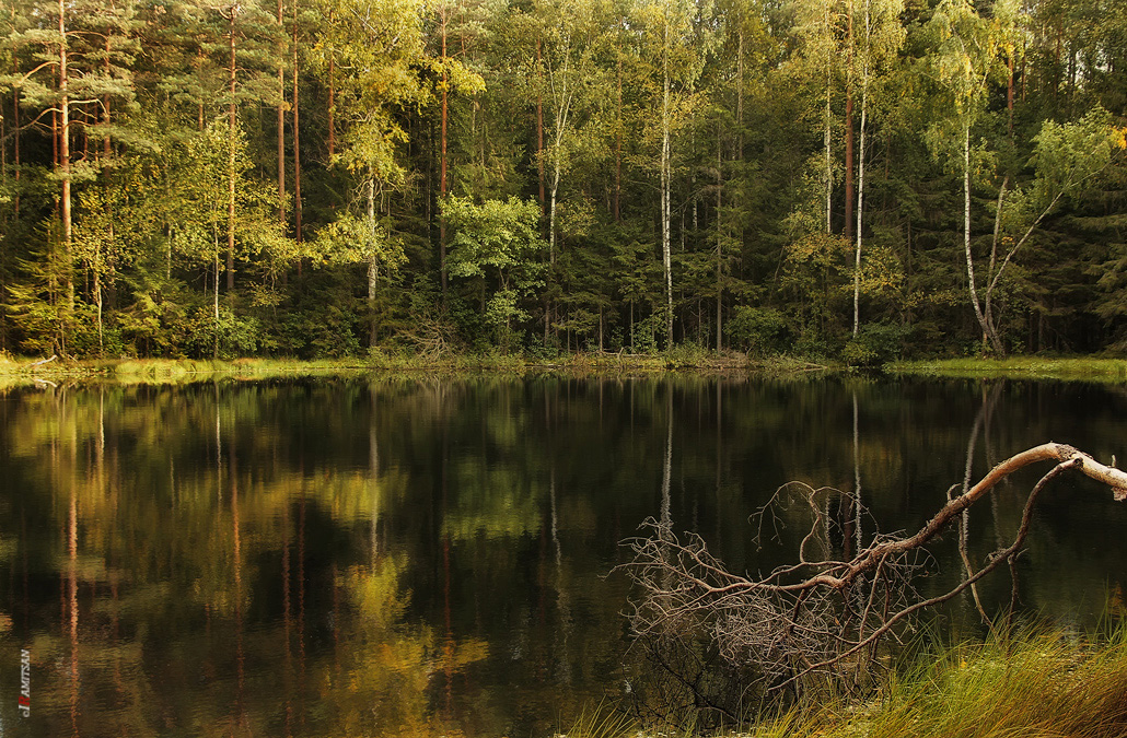 Es gibt Wunder, da ist der Teufel durchstreift ...