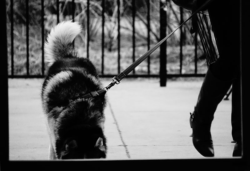 Männlich oder weiblich?