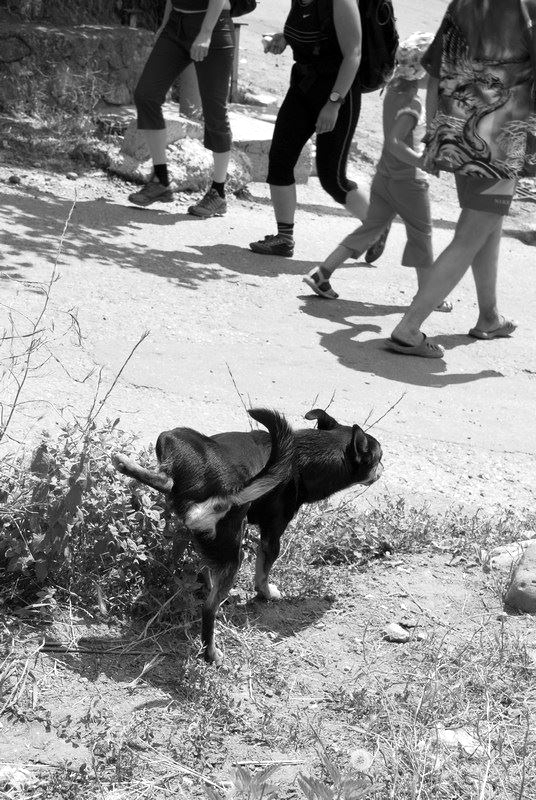 Männlich oder weiblich?