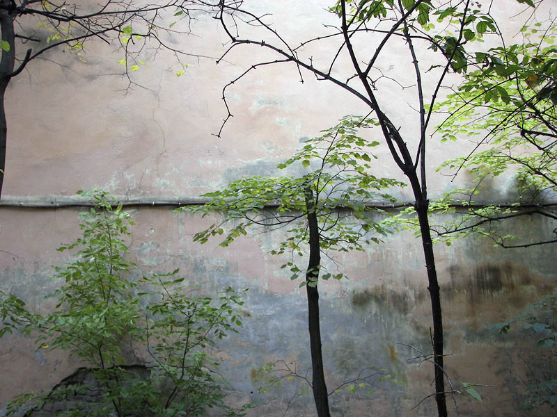 Männlich oder weiblich?