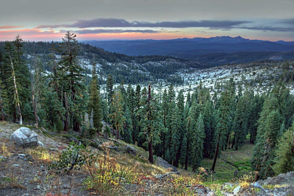 El Dorado ohne Nägel