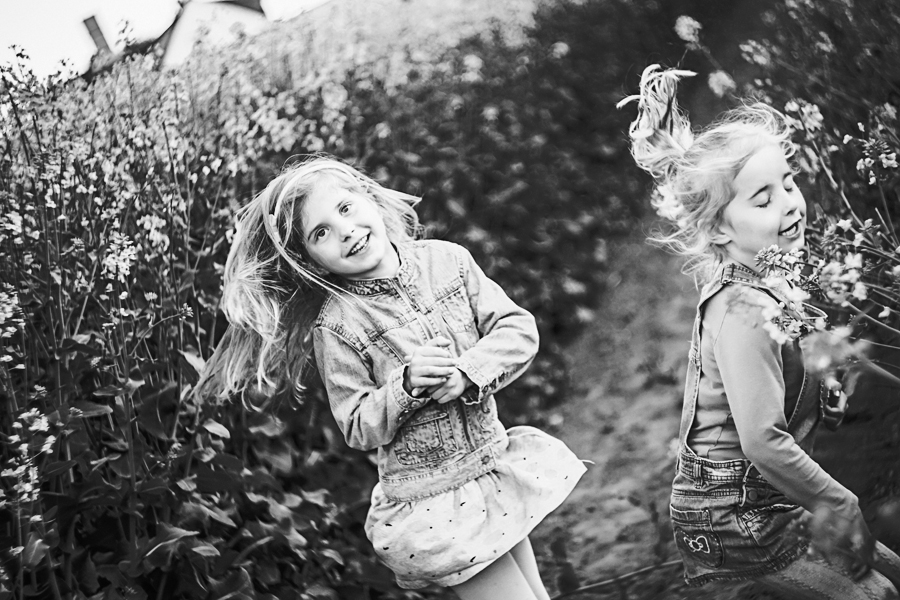 Mäuse zurück in das Feld