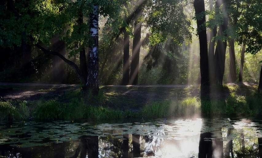 Sonnig am Morgen ...