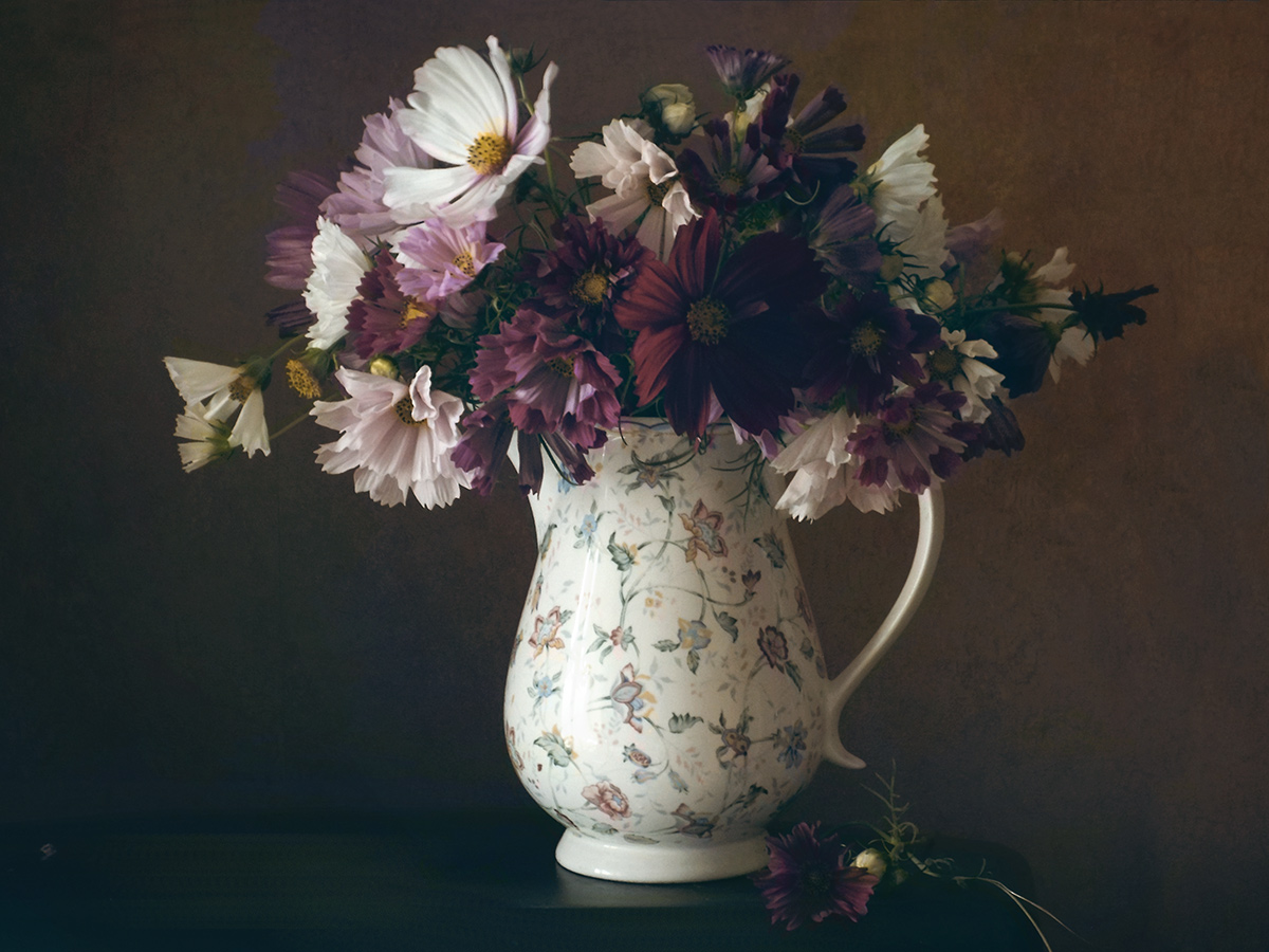 Mit Terry kosmeey ...