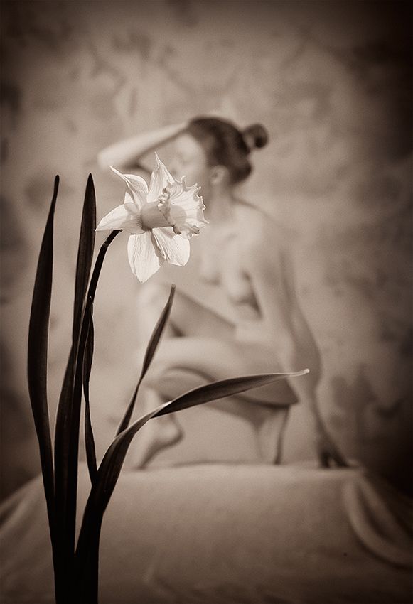 Das Mädchen und ...