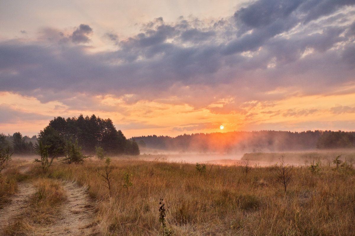 Dämmerung auf Schare