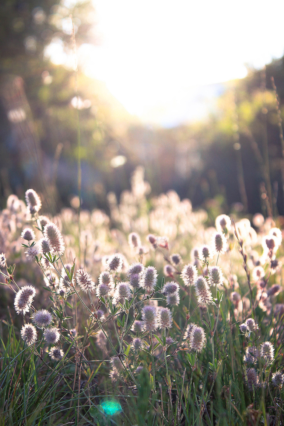Zufällige Sonnenuntergang