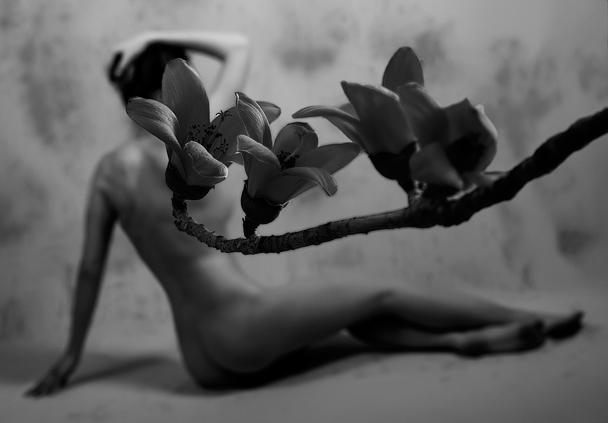 Das Mädchen und ...