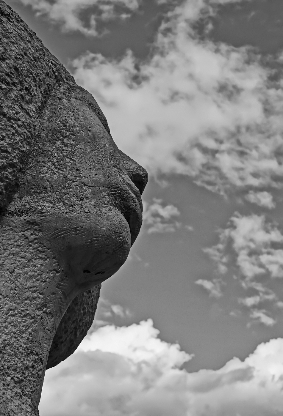 Blick auf den Himmel