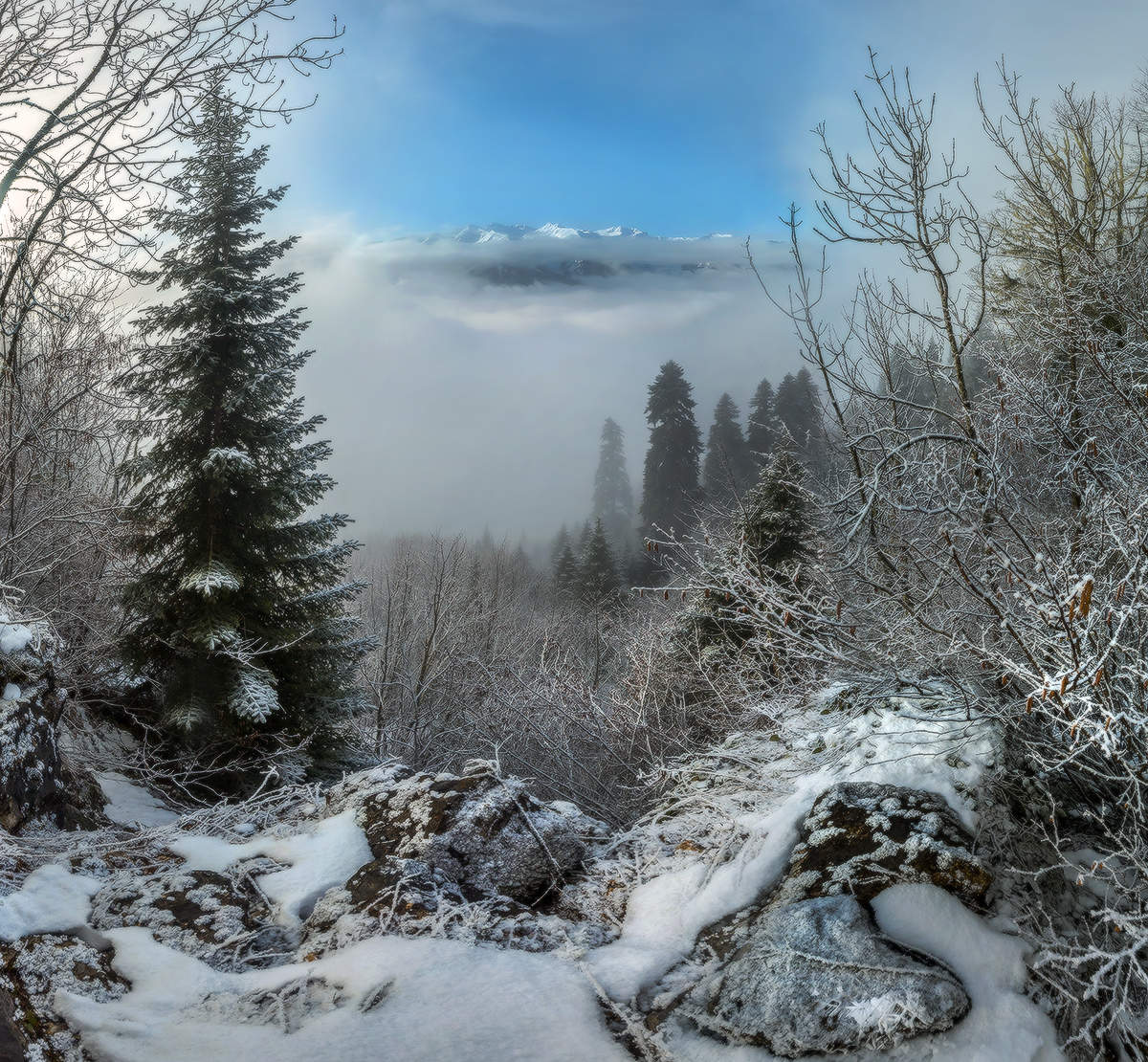 Daytime Nebel in den Bergen.