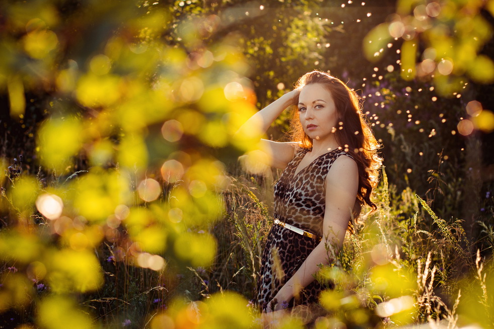 Im Rahmen eines regen des glühenden Mücken (Fortsetzung)
