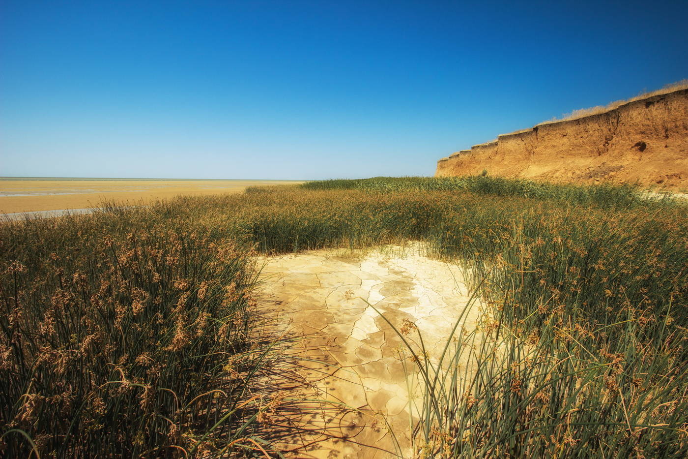 Durch die Hitze des Tages umgeben