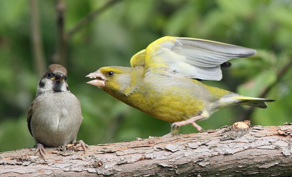 Die Hauptsache - ein Auszug