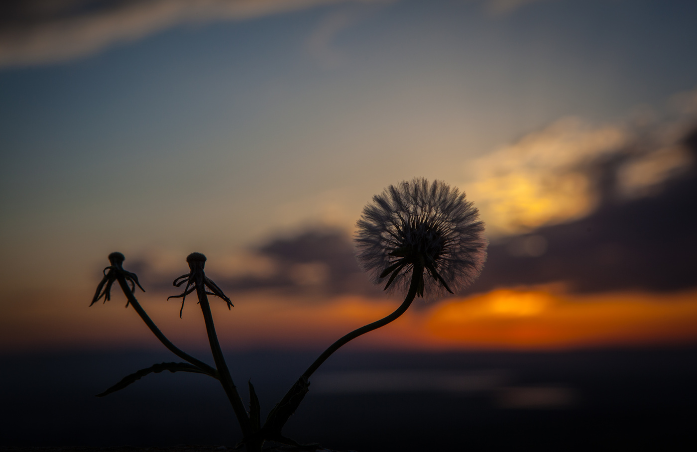 gorEzont überschwemmt