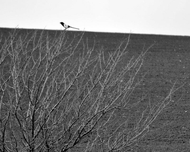 gorEzont überschwemmt