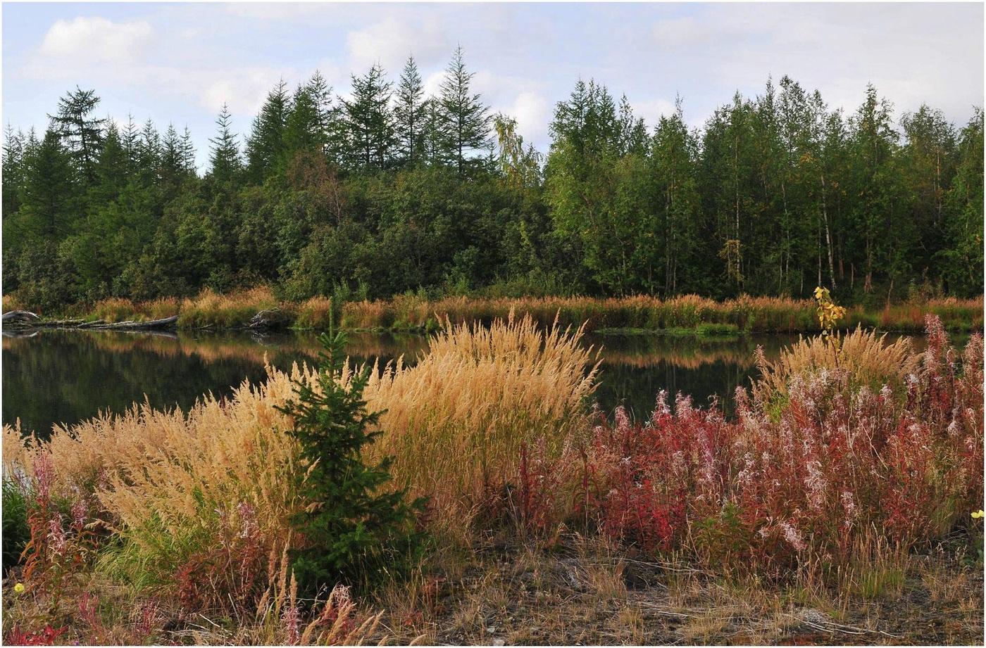 Abschied von Sommer!