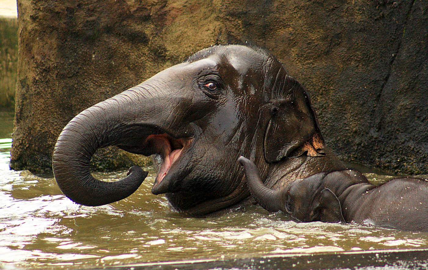 Kommen Sie zu uns - hier ist gut