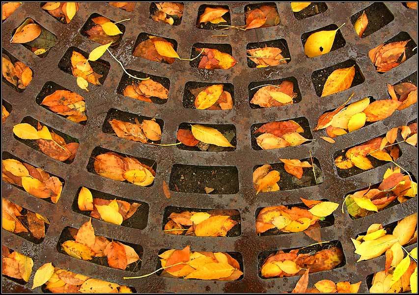 Niemand schreibt zum Colonel