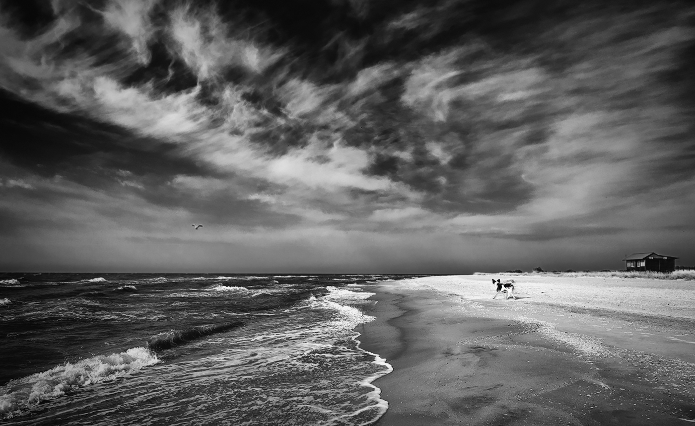 Mehr über das Meer ...