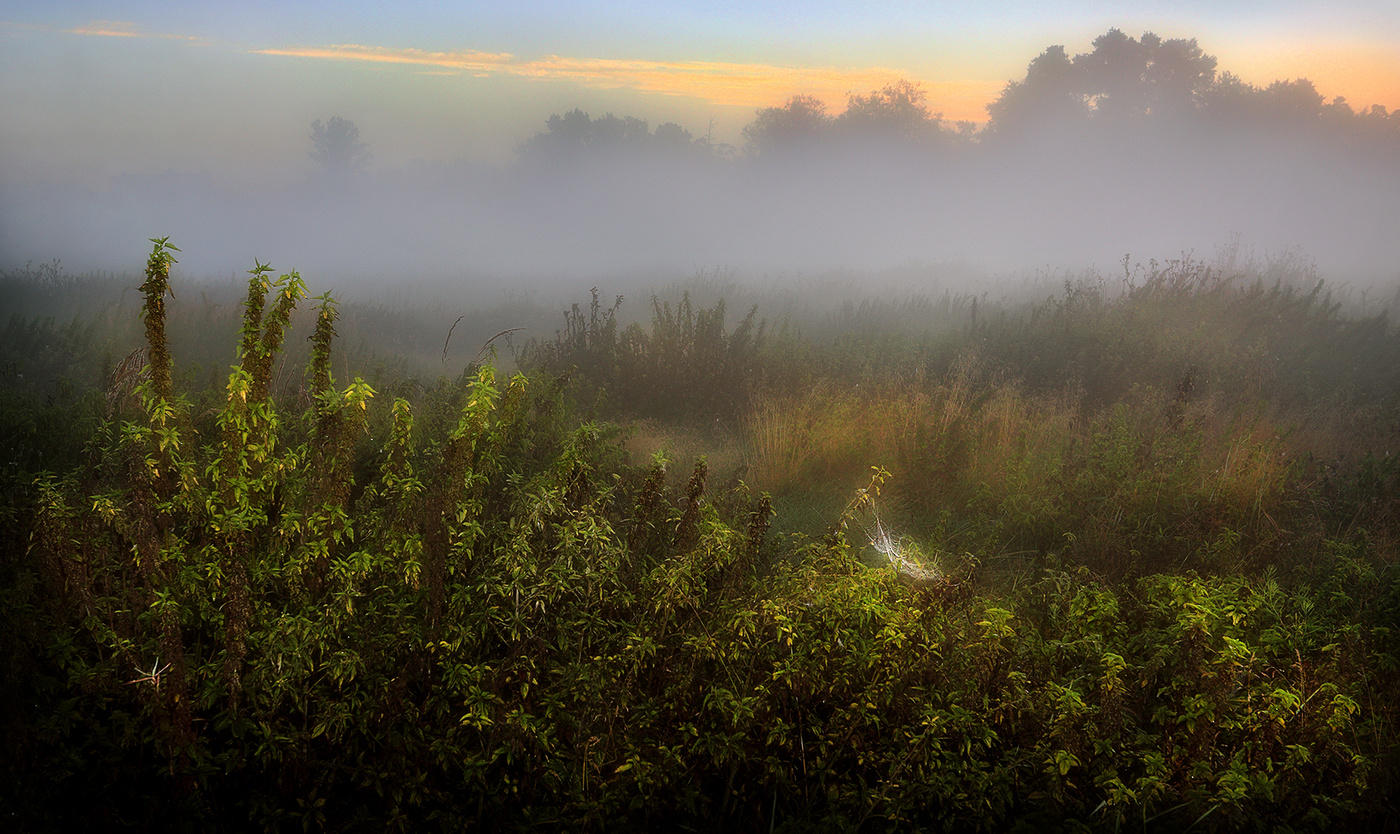 Sonnenaufgänge ... 3. August.