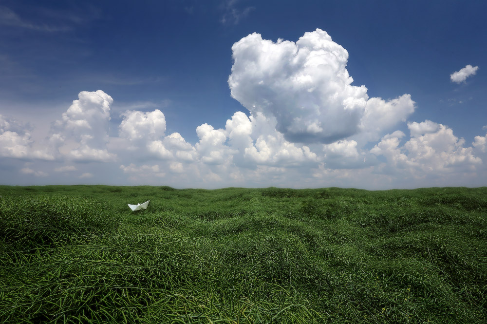 Als ich davon geträumt, dass grüne Meeres