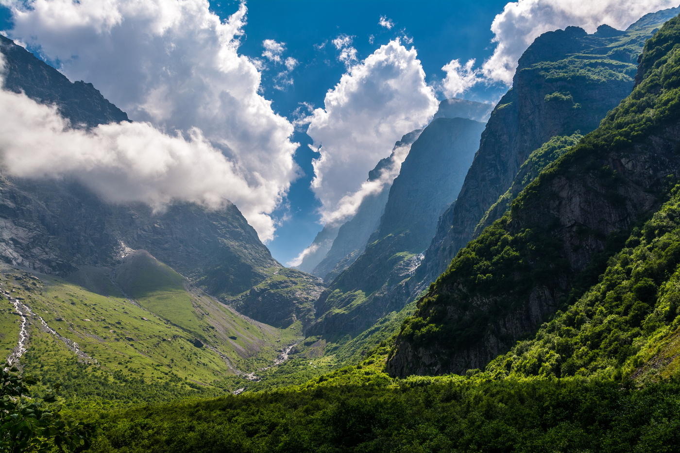 Midagrabinskaya ravanina