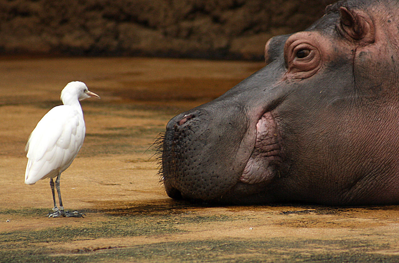 Berg Treffen wir uns