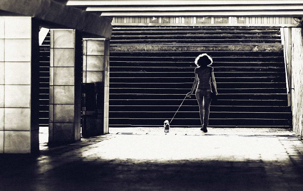 Oh, Alice! Wie können wir uns treffen?