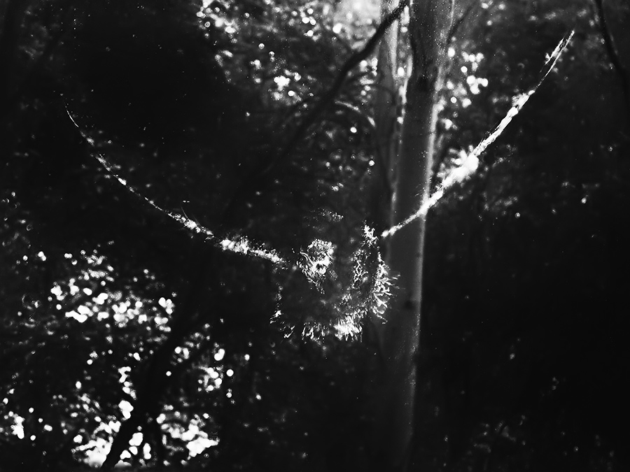 schlechte Nachrichten