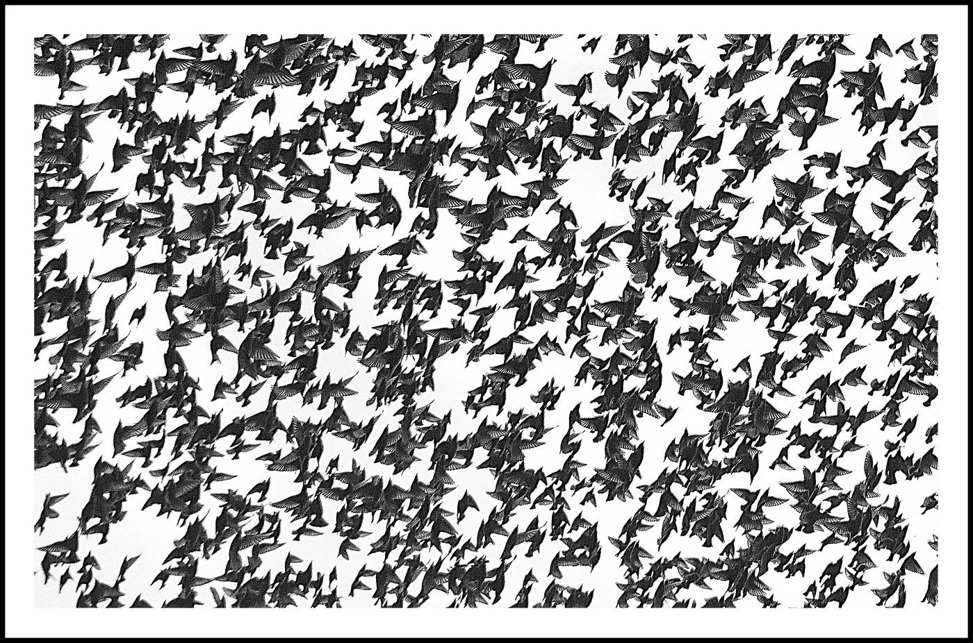 Autumn Flug. Stare. Ohne Photoshop.