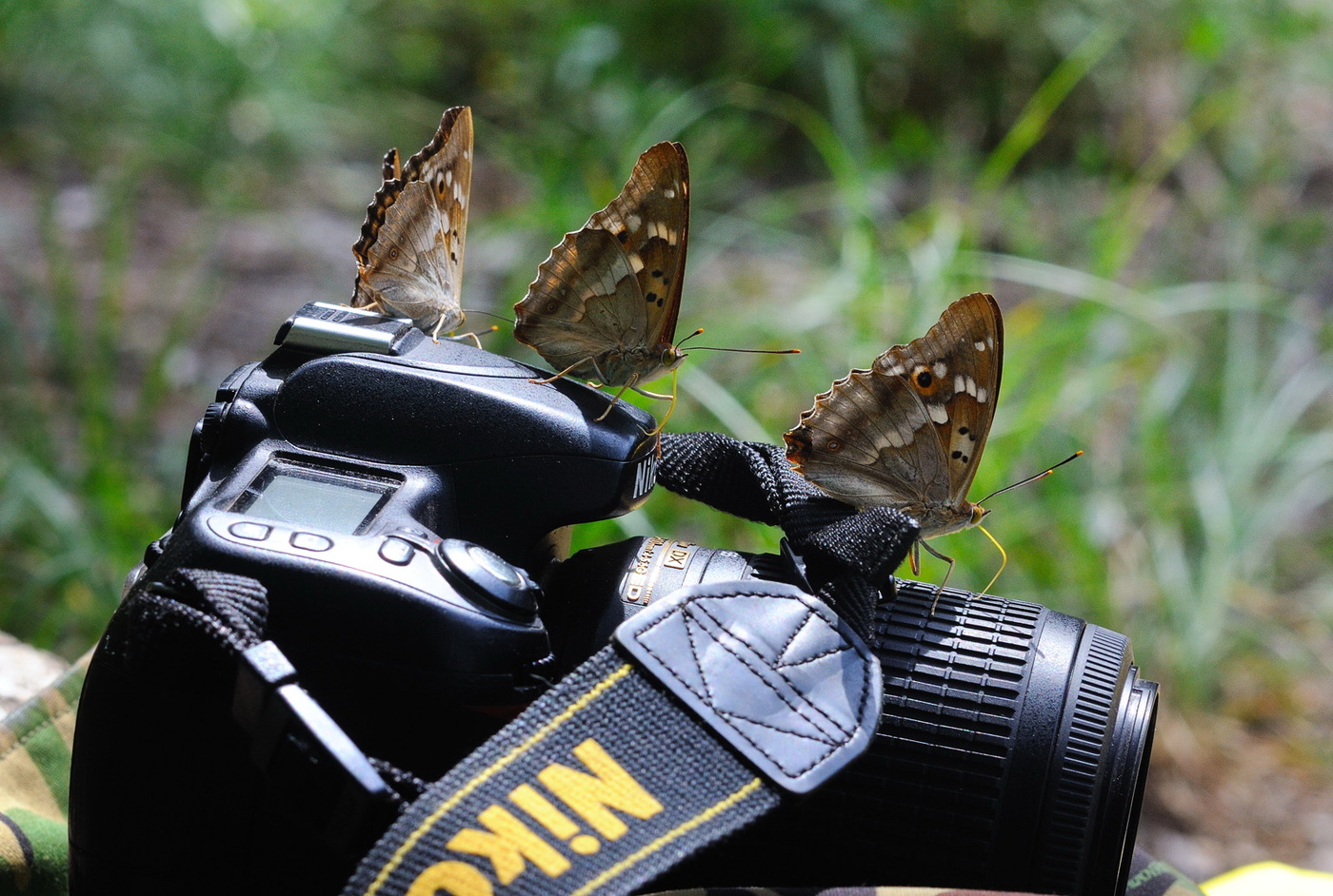 Benutzer des Systems.