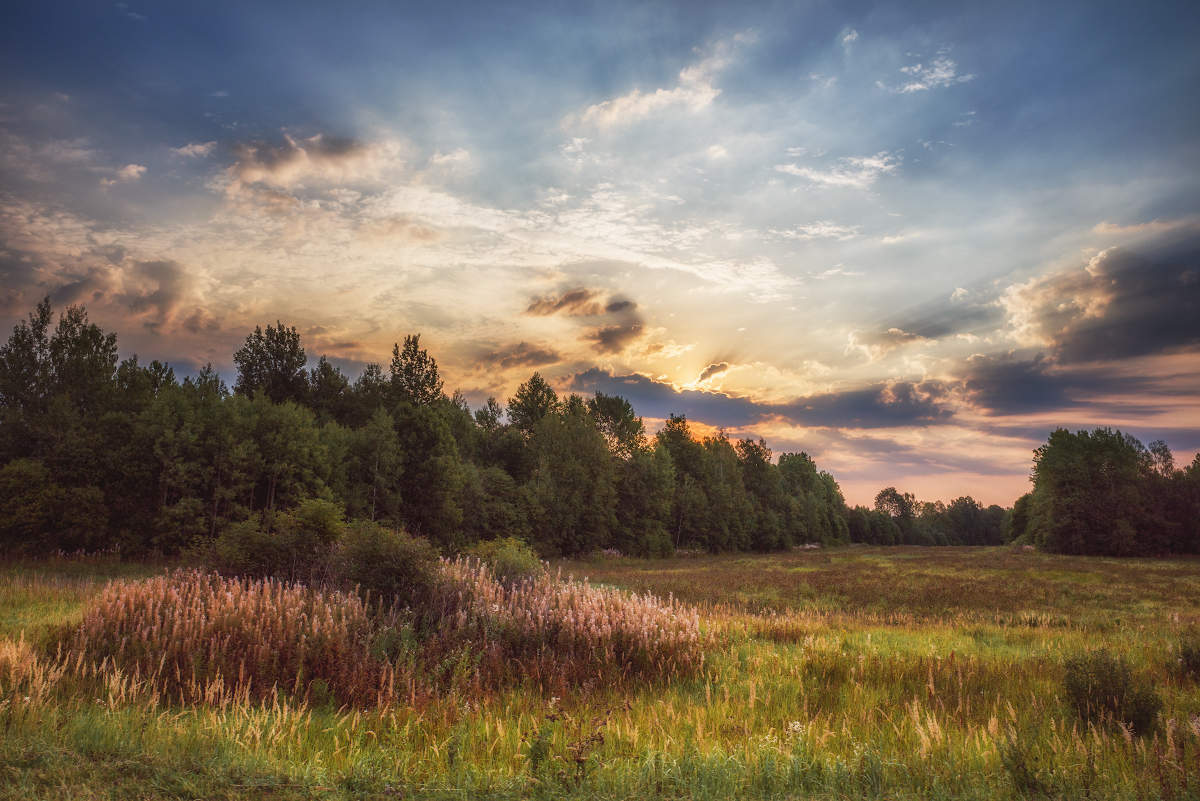 Eines Morgens im August.