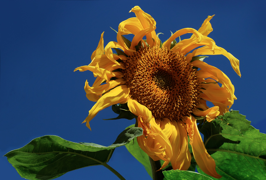 Wir verabschieden uns von einem hellen Sommertag!