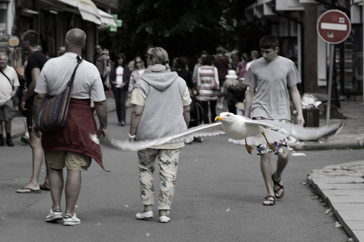 Unbemerkt unter den Menschen