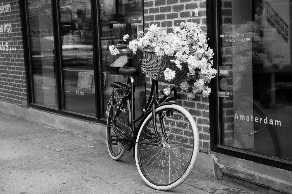 Irgendwo zwischen Amsterdam und Paris ...