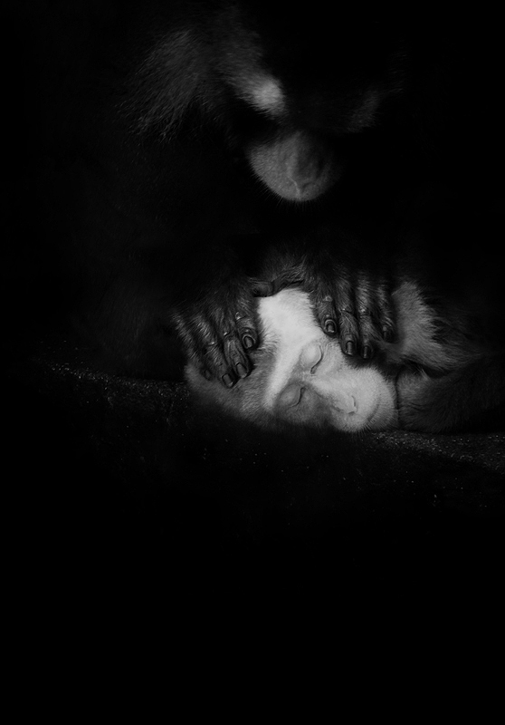 Sie müssen nur die Augen zu öffnen ...