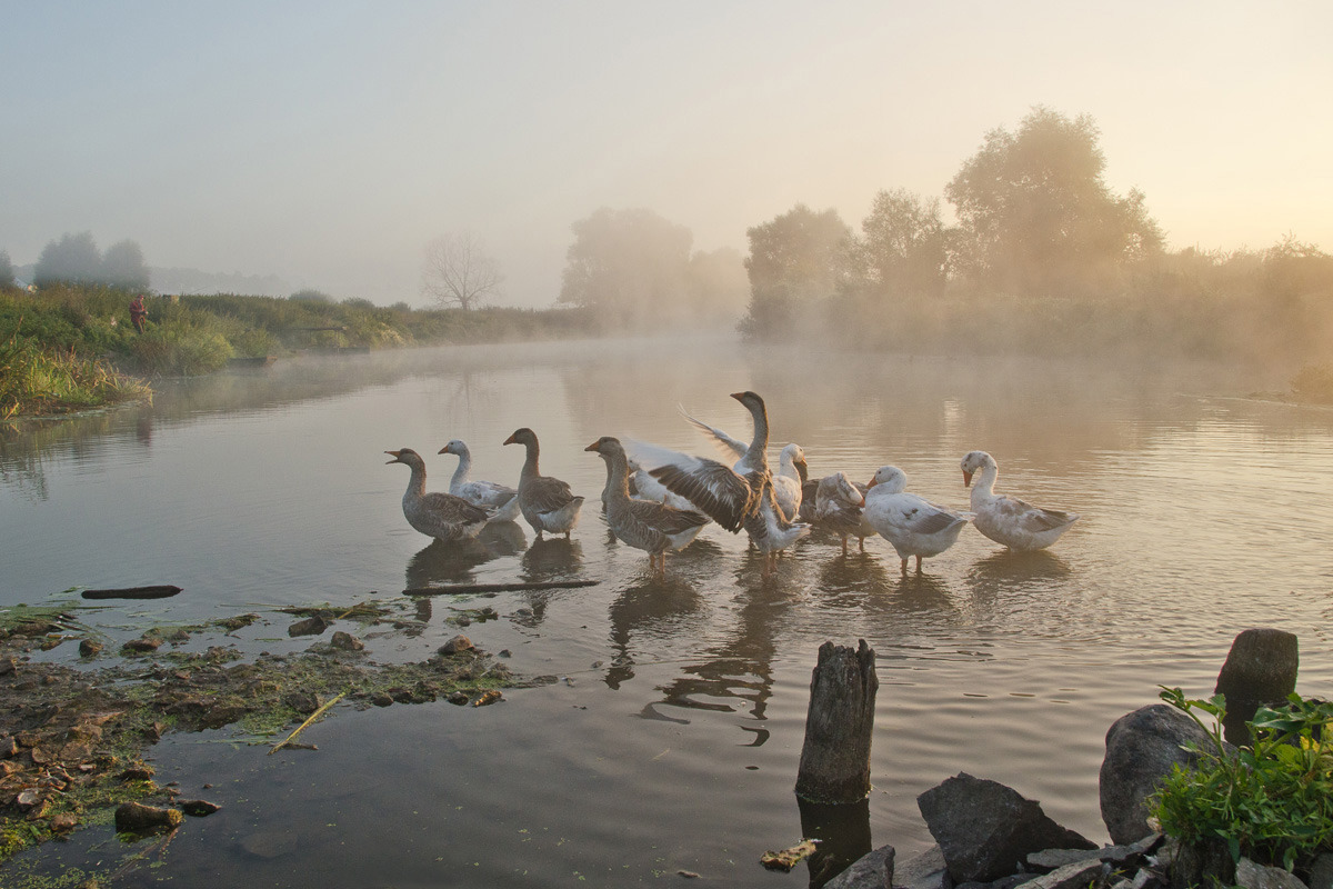Elegy verlassen Sommer