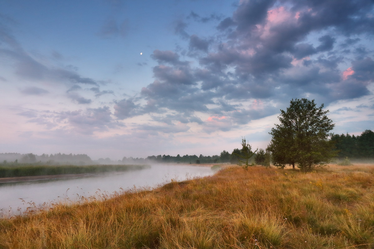 Am Morgen des Schare