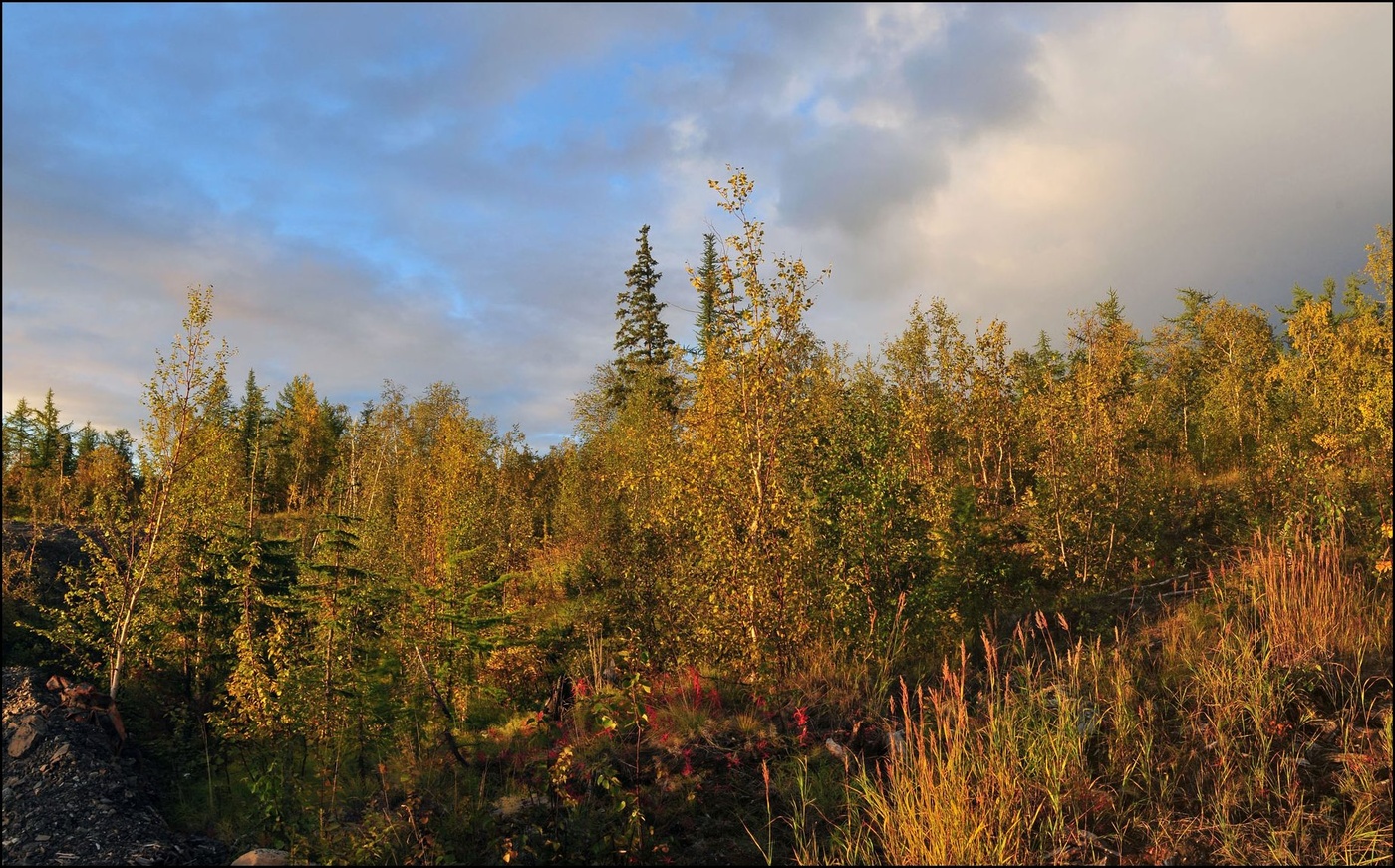 Herbst, warum so schnell?