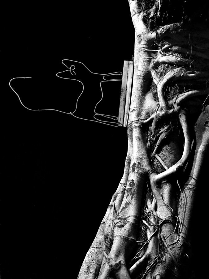 Es war einmal eine schwarze Katze ...