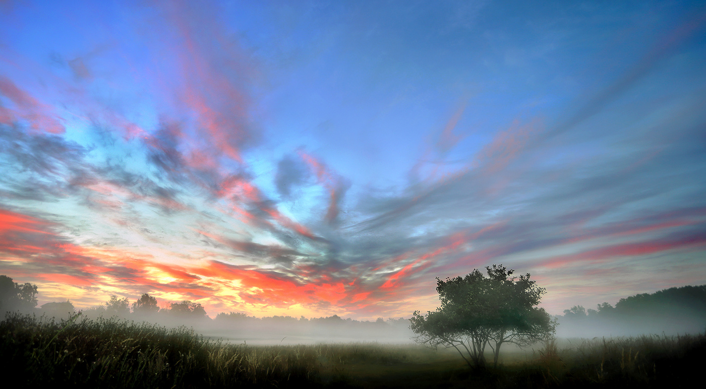 Misty ... 2. August.