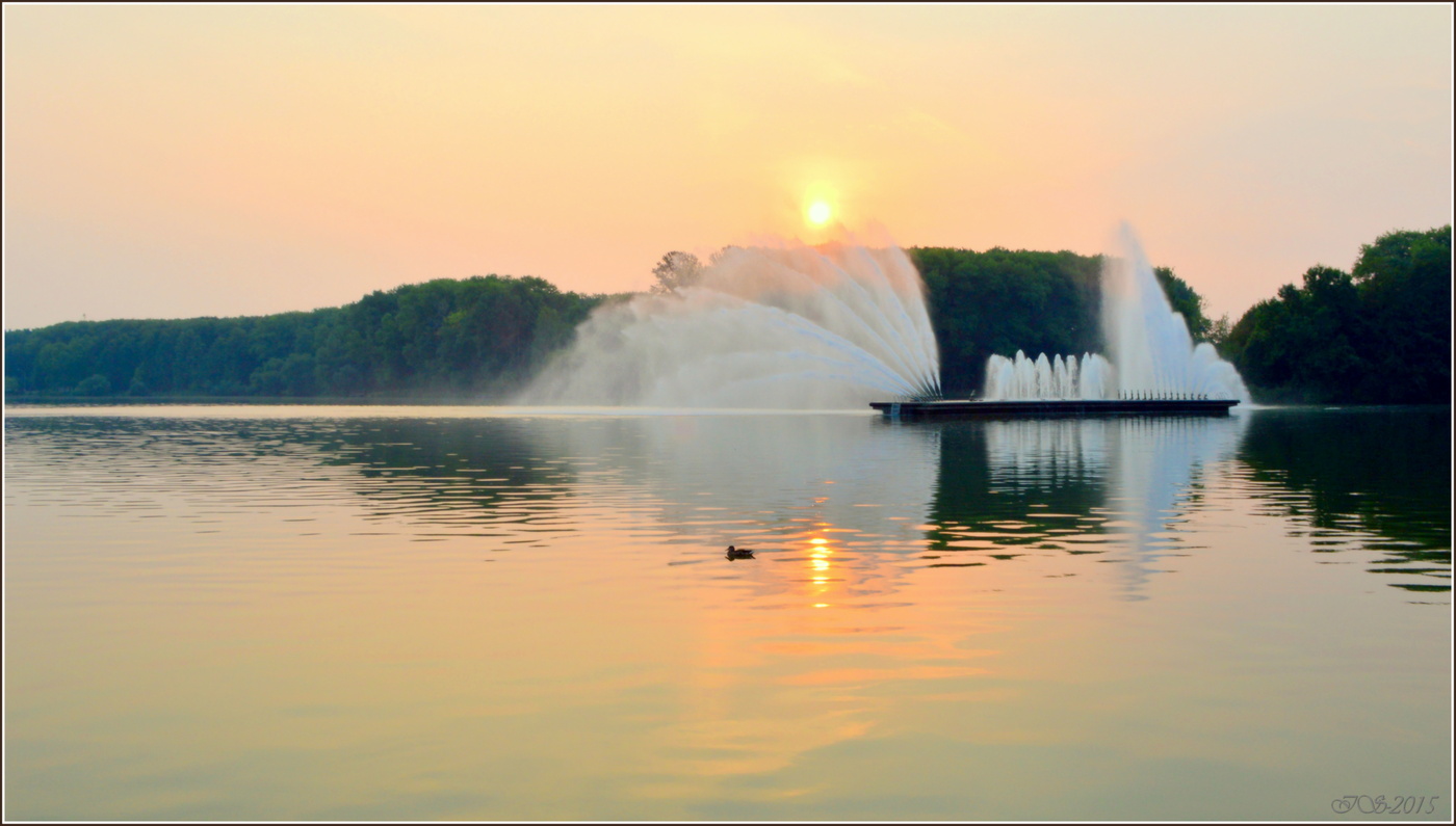 Morgen, eine Ente und ein Springbrunnen
