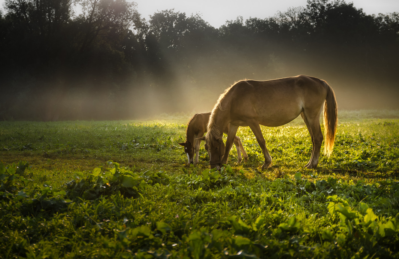 Synchronicity Gefühle