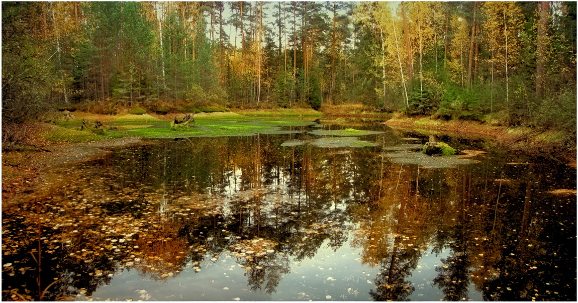 Es gibt Wunder draußen wandernde Goblin ...