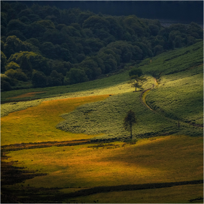 ...tints and shades II...