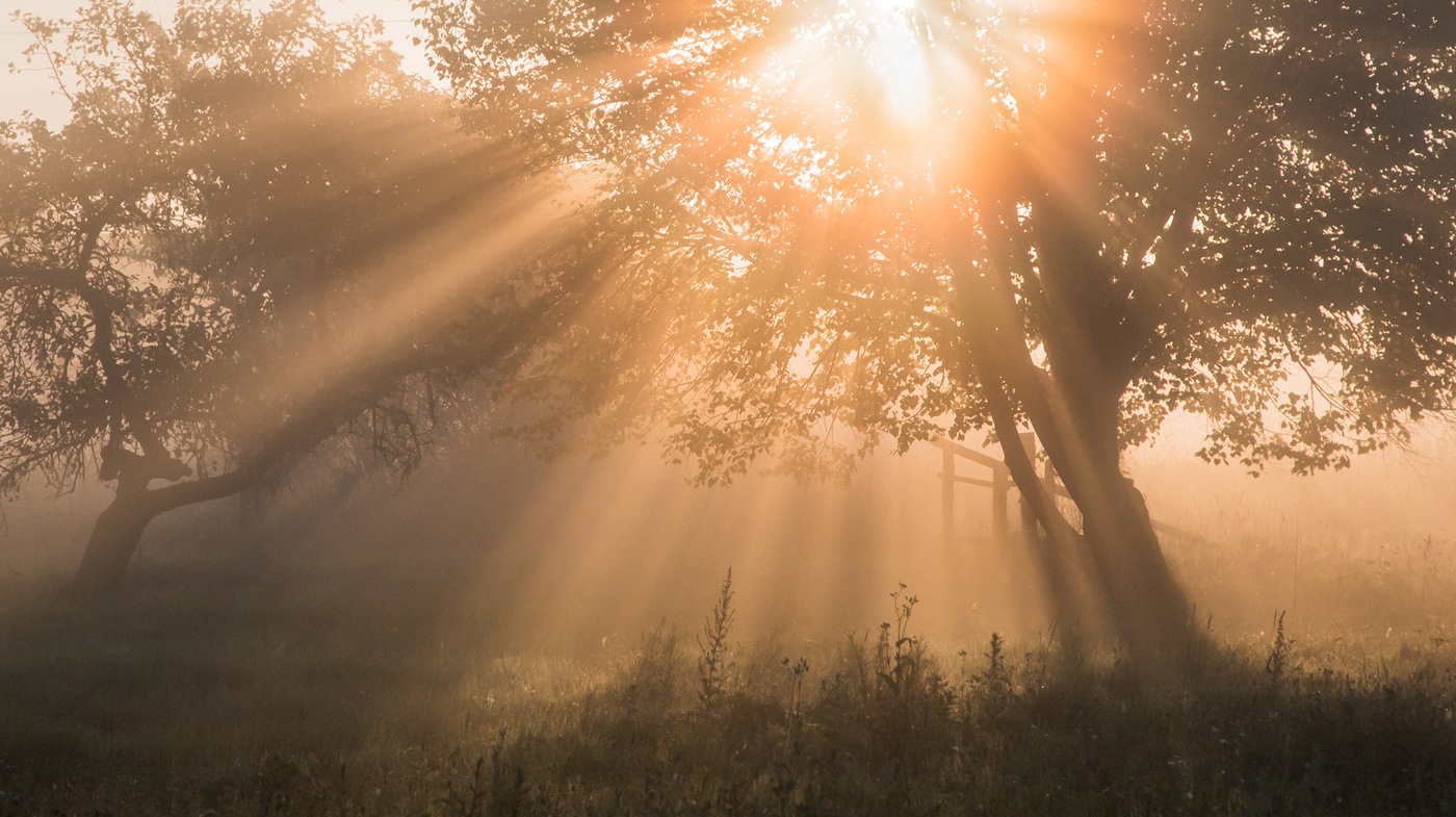 Am frühen Morgen von einem sonnigen Tag