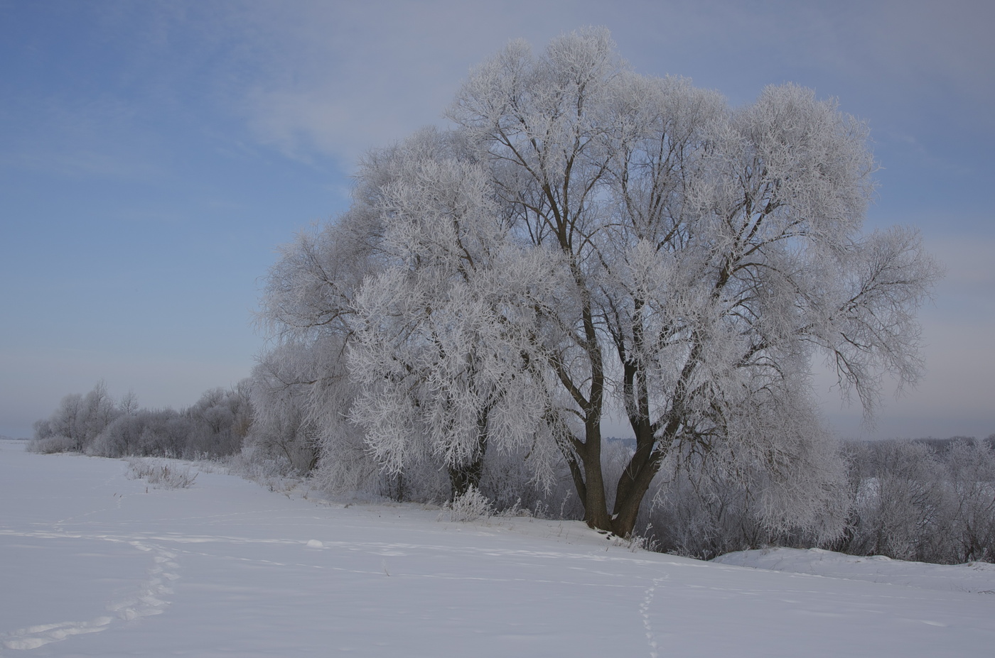 Ein frostiger Morgen